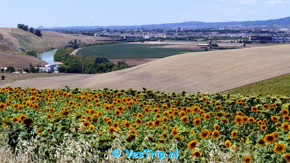 xxx From Cordoba to Los Angeles xxx